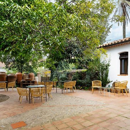 Apartamentos Turisticos El Patio Del Nogal Guadalupe  Esterno foto
