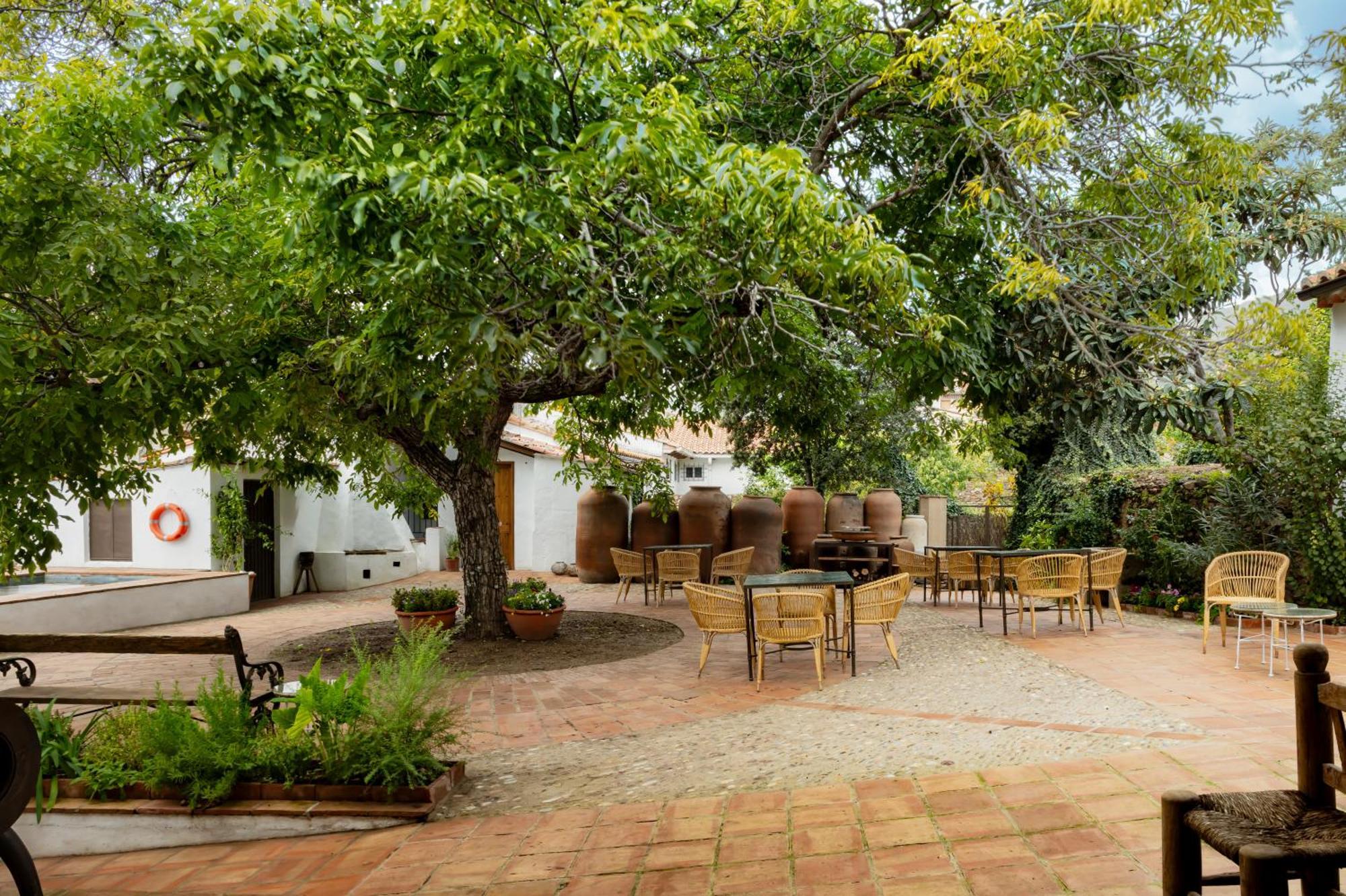 Apartamentos Turisticos El Patio Del Nogal Guadalupe  Esterno foto