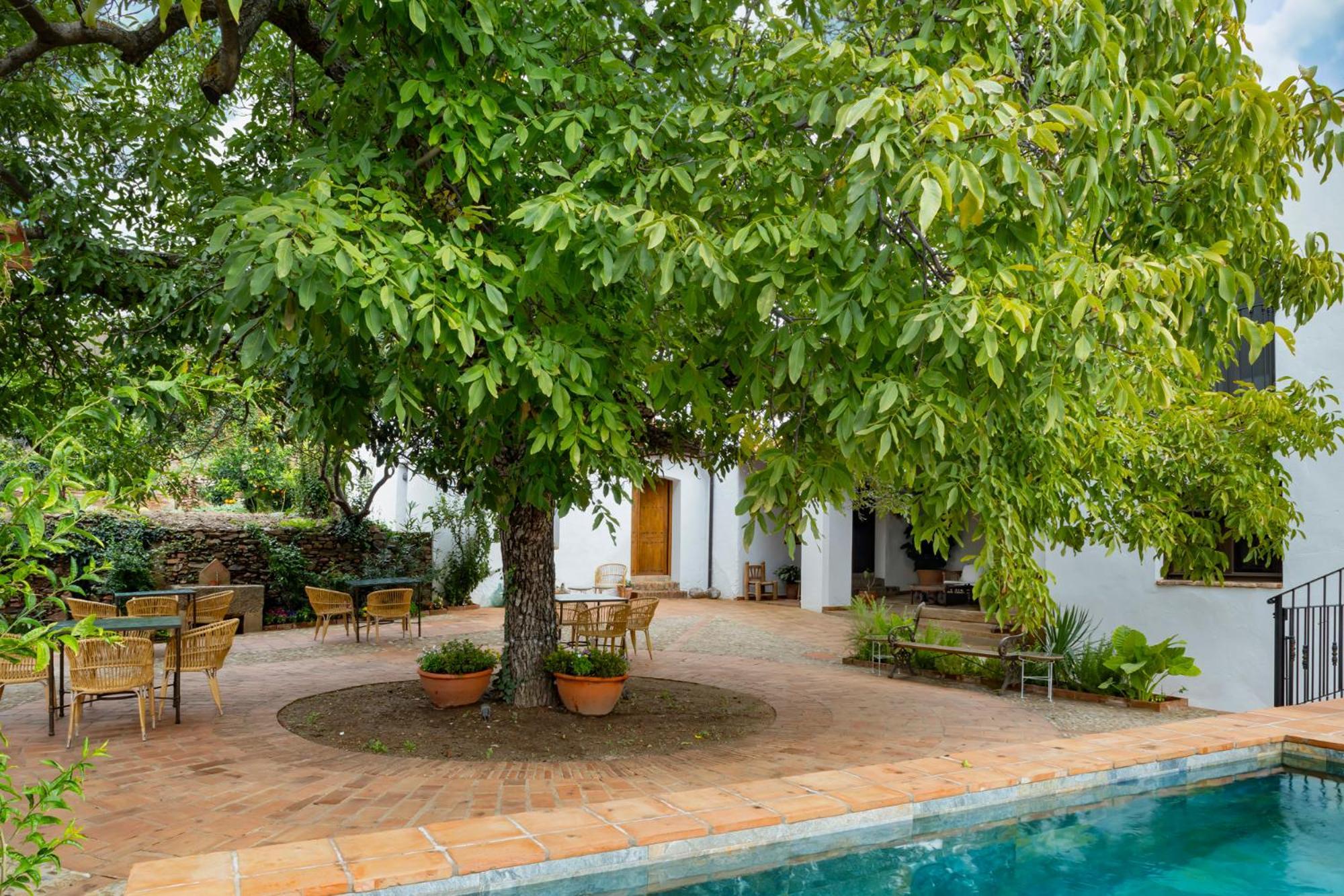 Apartamentos Turisticos El Patio Del Nogal Guadalupe  Esterno foto